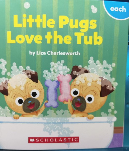 Little pugs love the tub