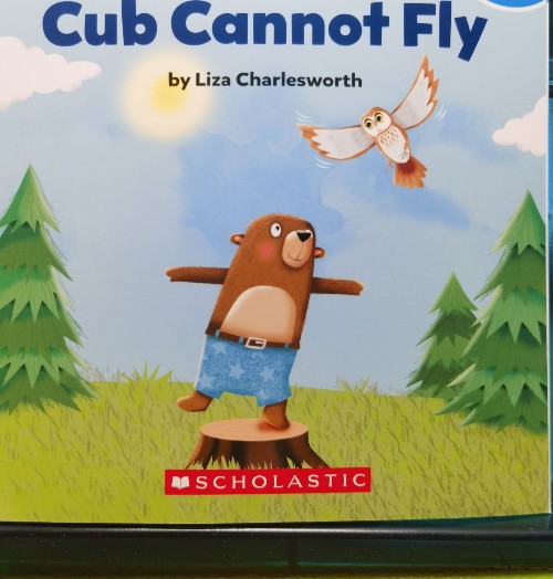 cub can not fly