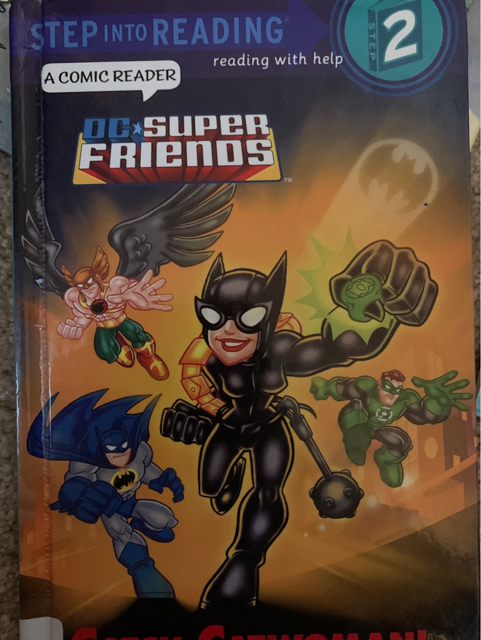 DC Super Friends : Catch Catwomen