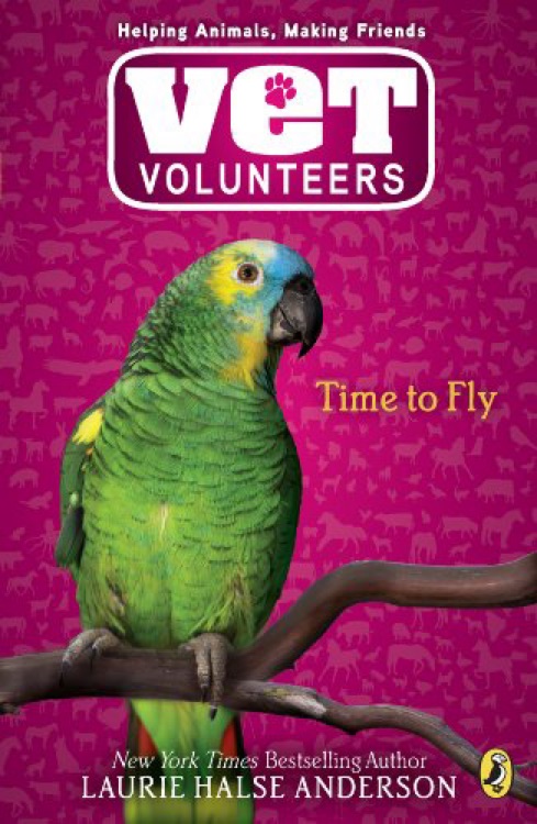 Vet Volunteers #10: Time to Fly