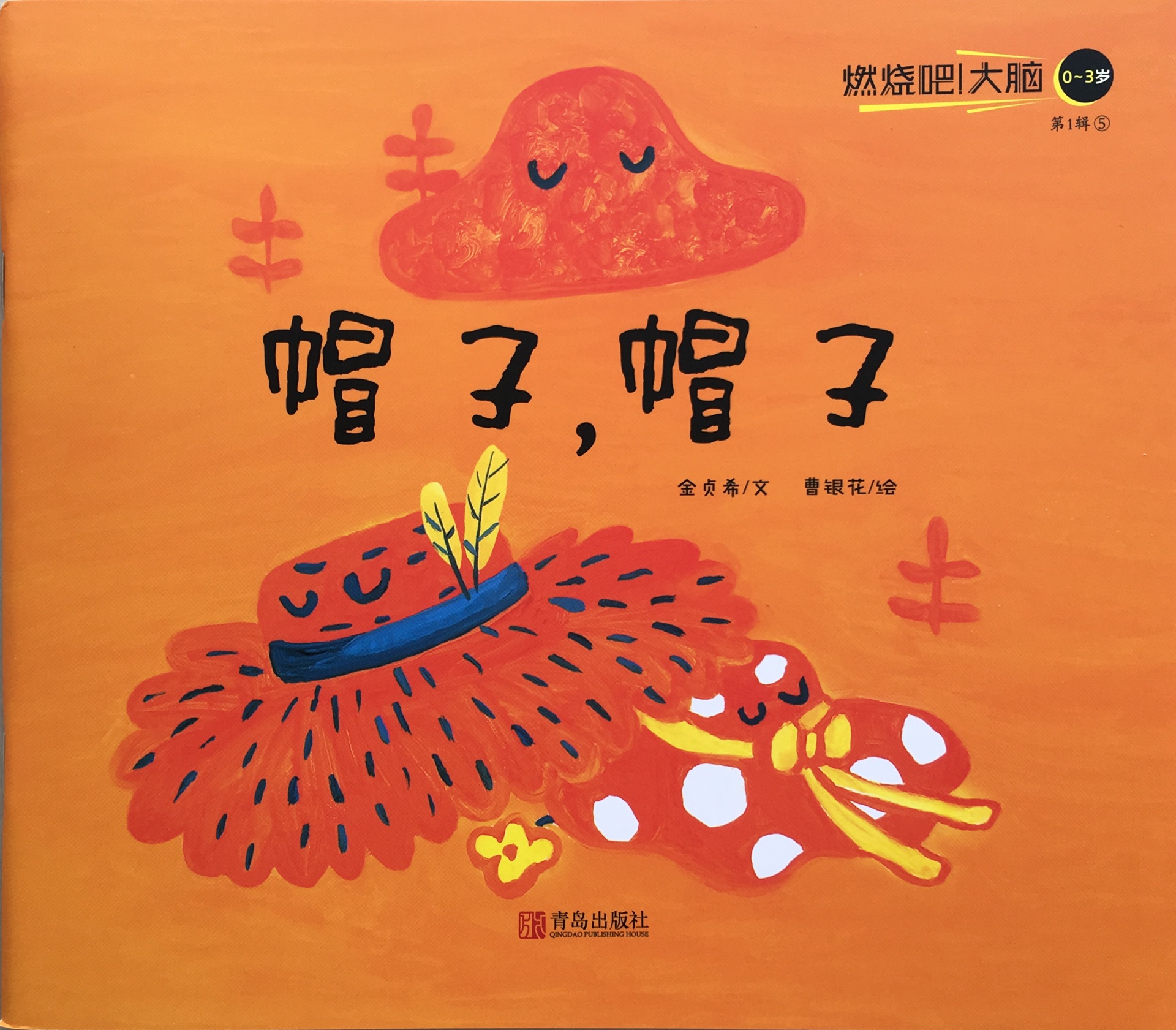 帽子, 帽子