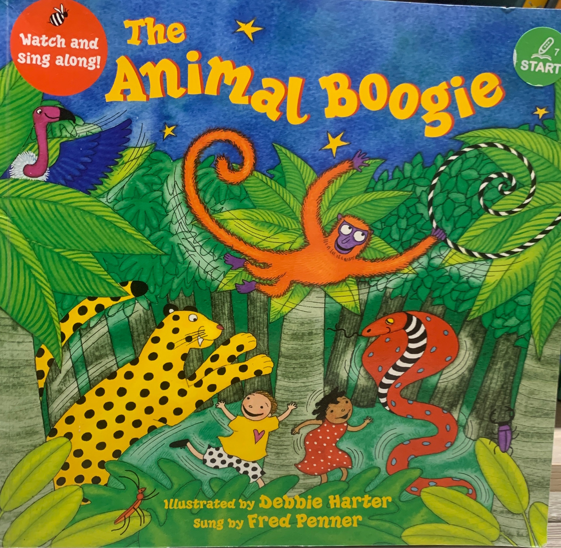 The Animal Boogie