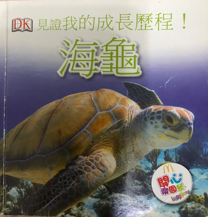 DK 見證我的成長歷程! 海龜