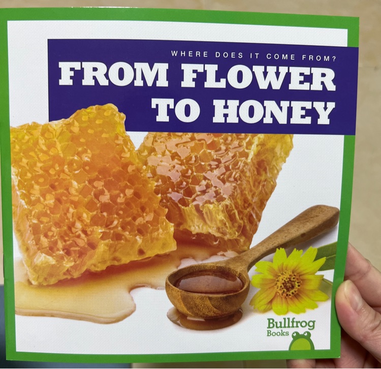 From flower to honey