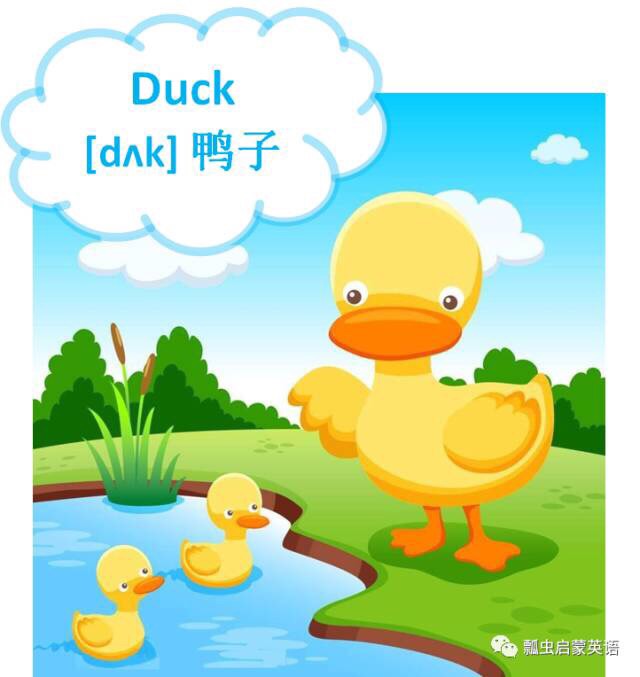 学学单词很喜欢#喜马拉雅#上ladybugsenglish的节目《瓢虫启蒙英语