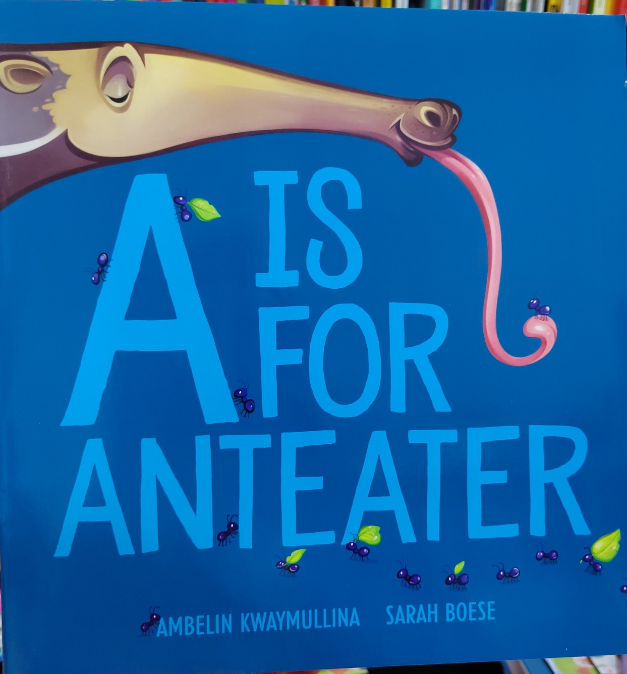 A is for Anteater