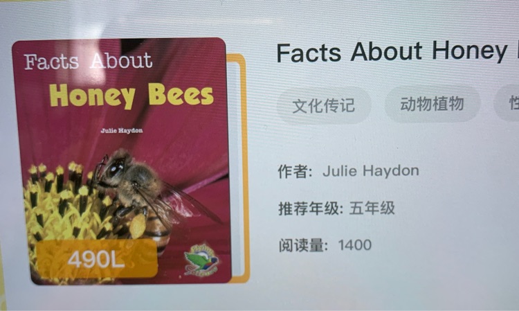 Facts about honey bees