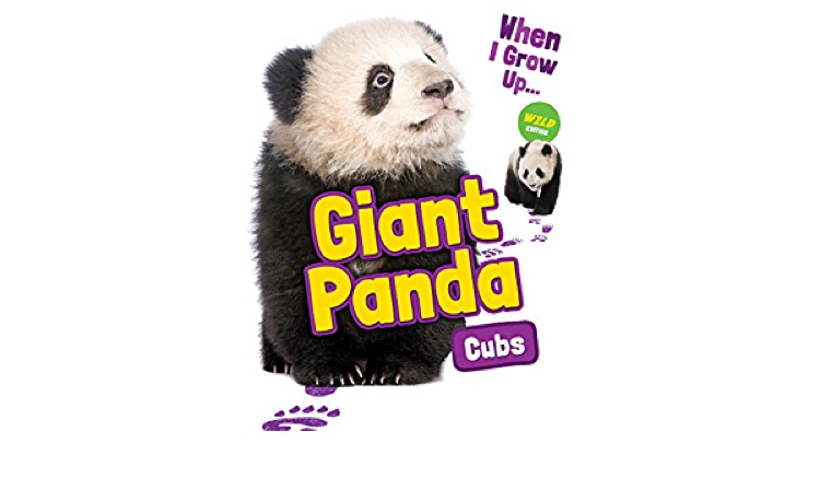 Giant panda cub when I grow up