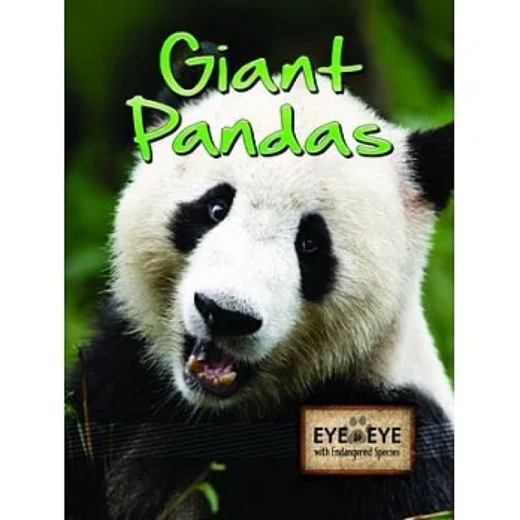 Giant pandas