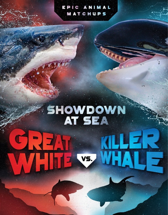 Great white vs killer whale