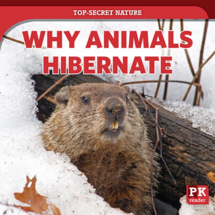 Why animals hibernate