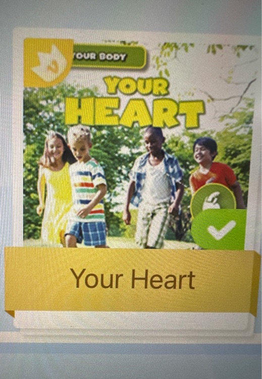 Your heart