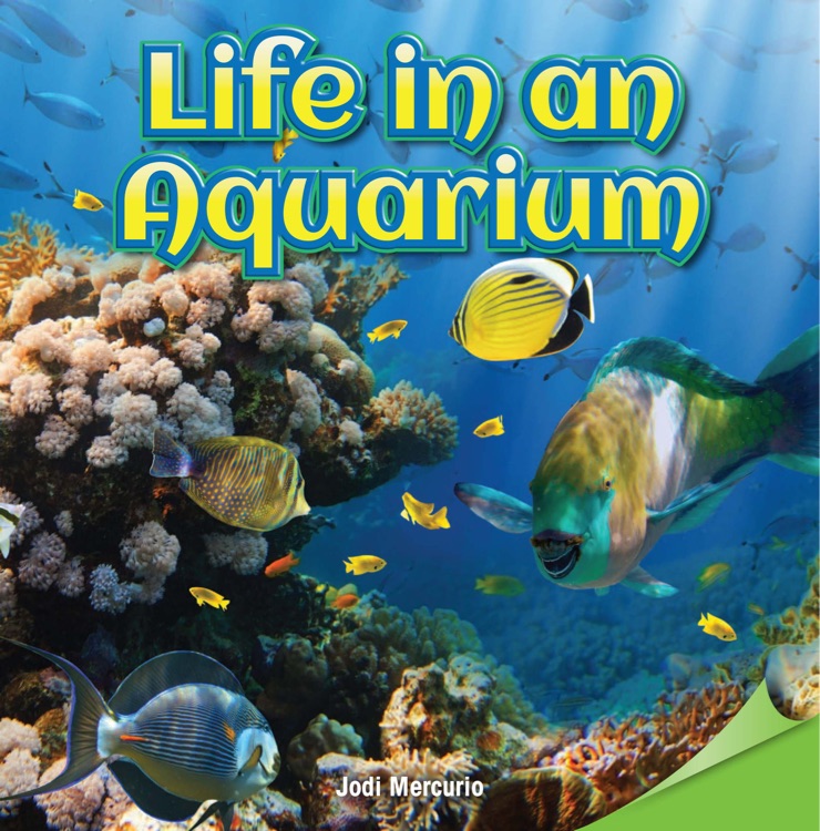 Life in an aquarium