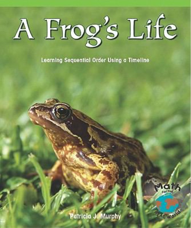 A Frog's life