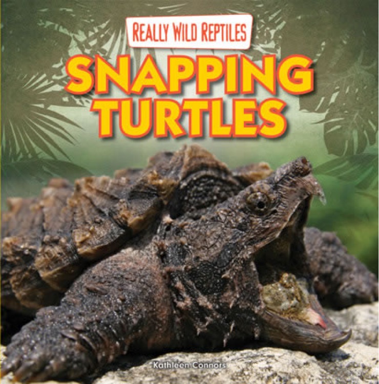 Snapping turtle