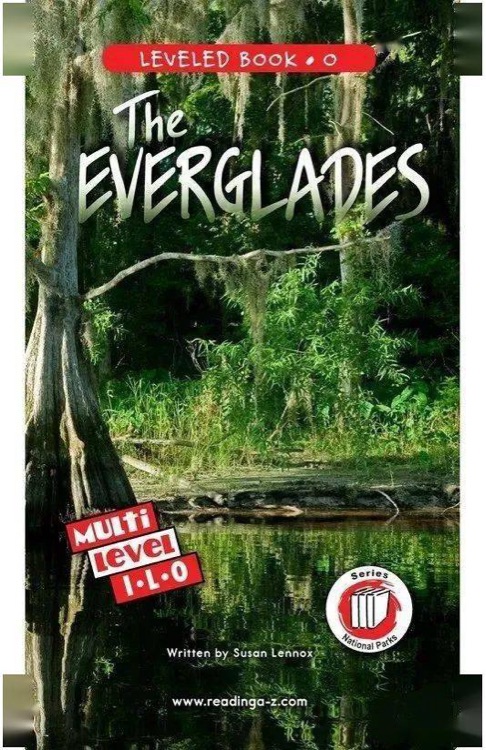 The Everglades