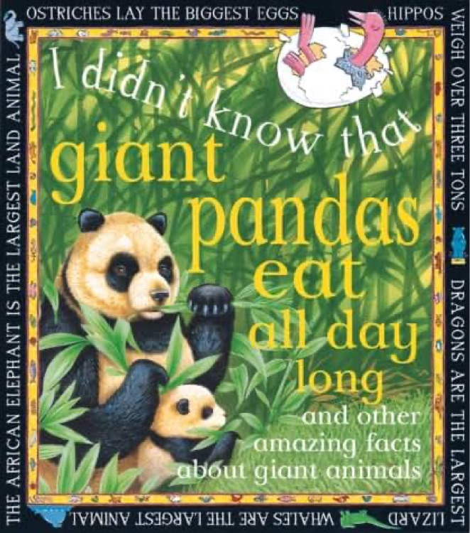 I didn't know that giant panda eat all day