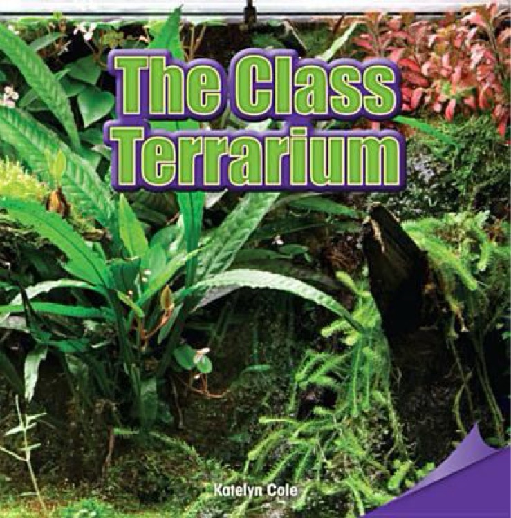 The class terrarium