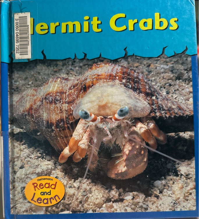 Hermit crabs