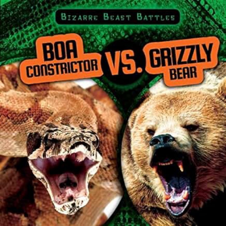 Boa constrictor vs.grizzly bear