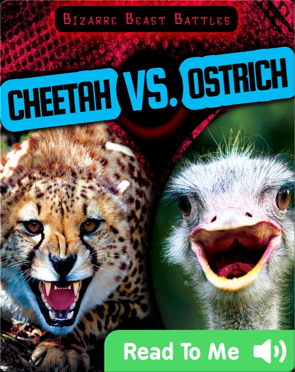 Cheetah vs. Ostrich