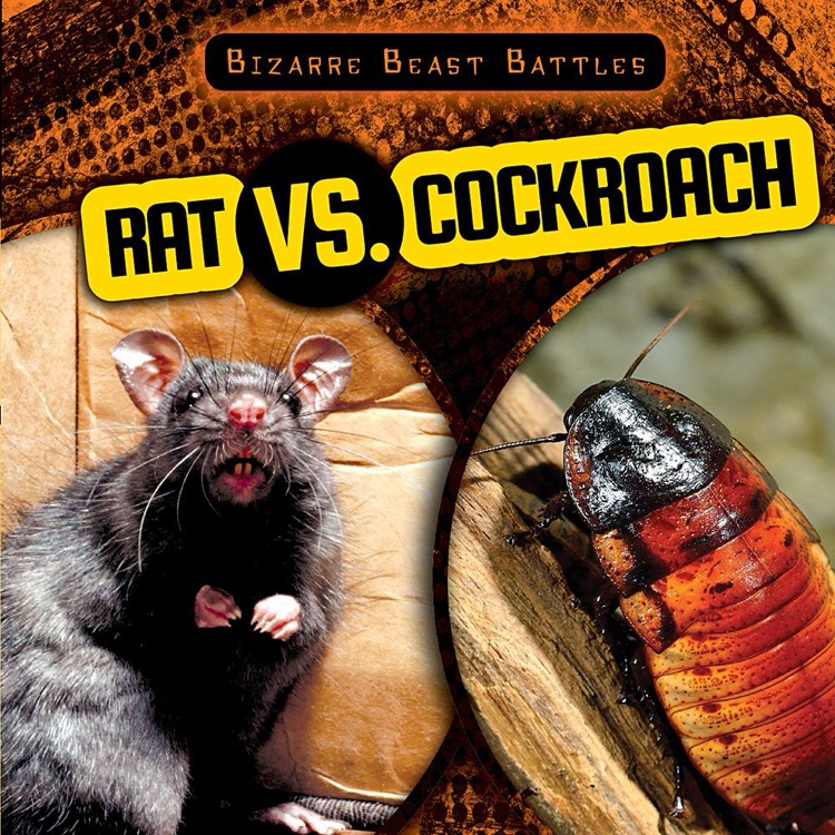 Rat vs. Cockroach