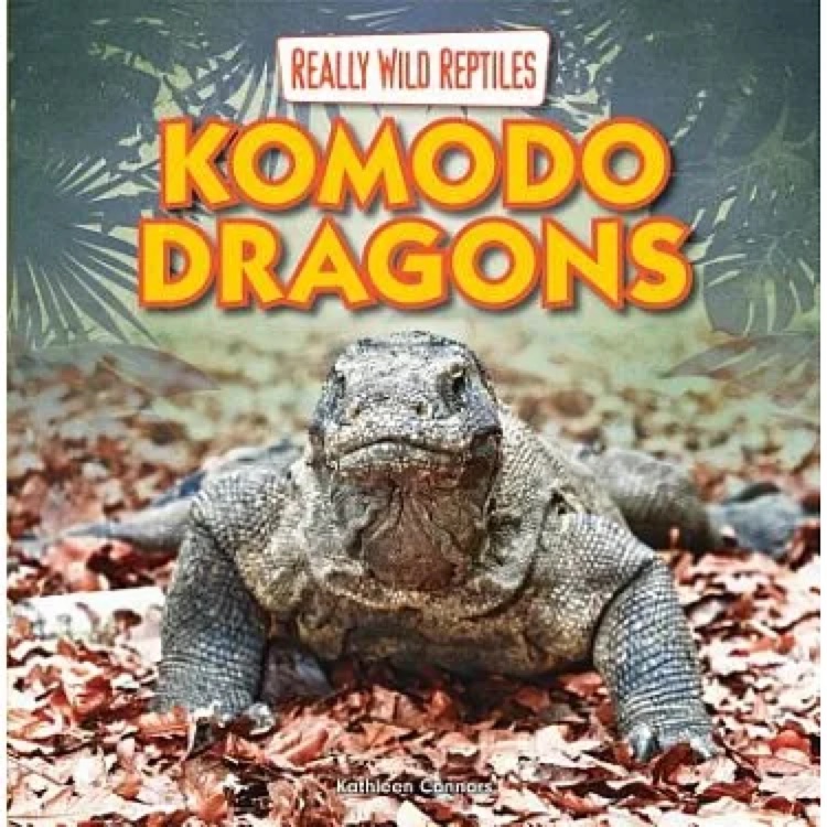 Komodo Dragons