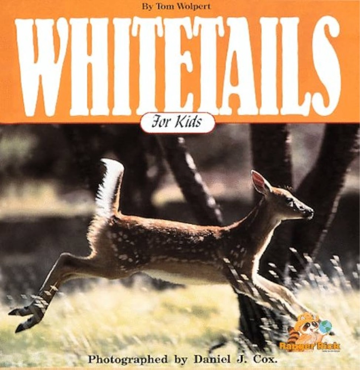 Whitetails for kids