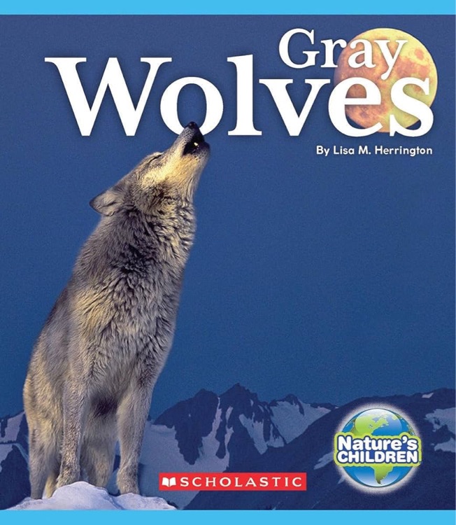 Gray Wolves