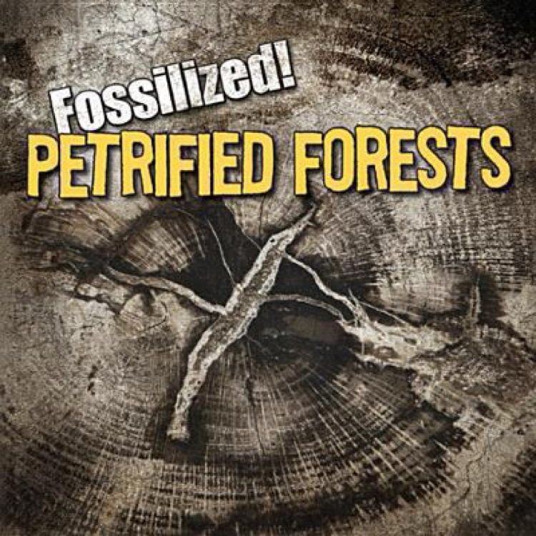 Petrified forests