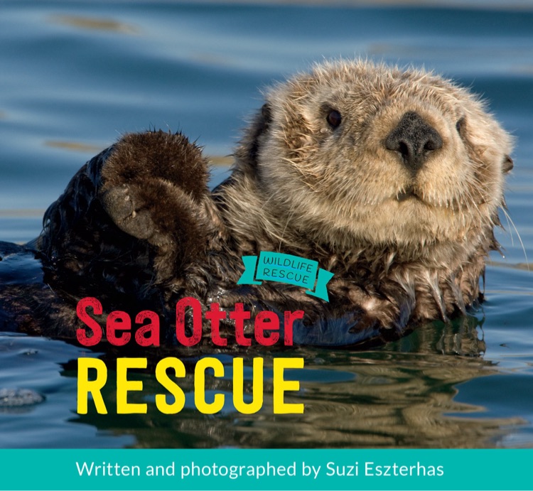 Sea Otter Rescue