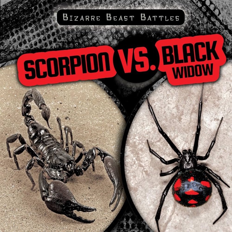 Scorpion vs. Black widow