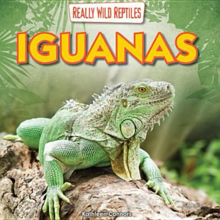 Iguanas