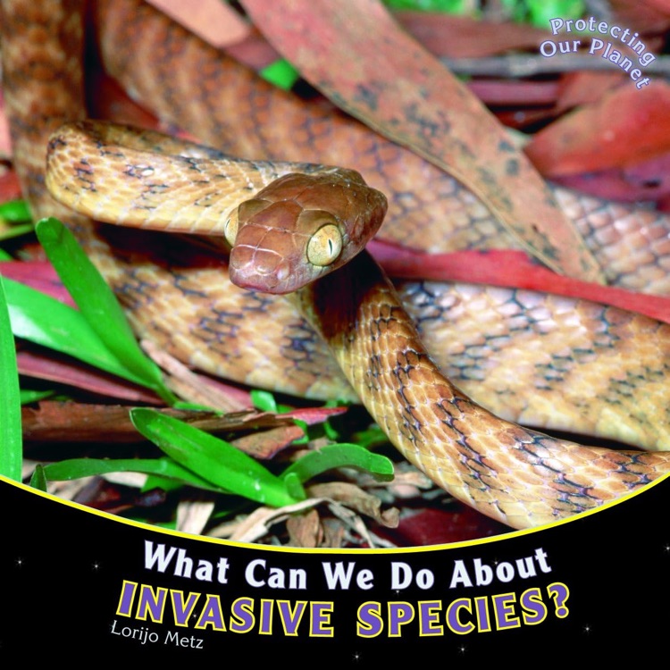 What can we do about invasive species ?