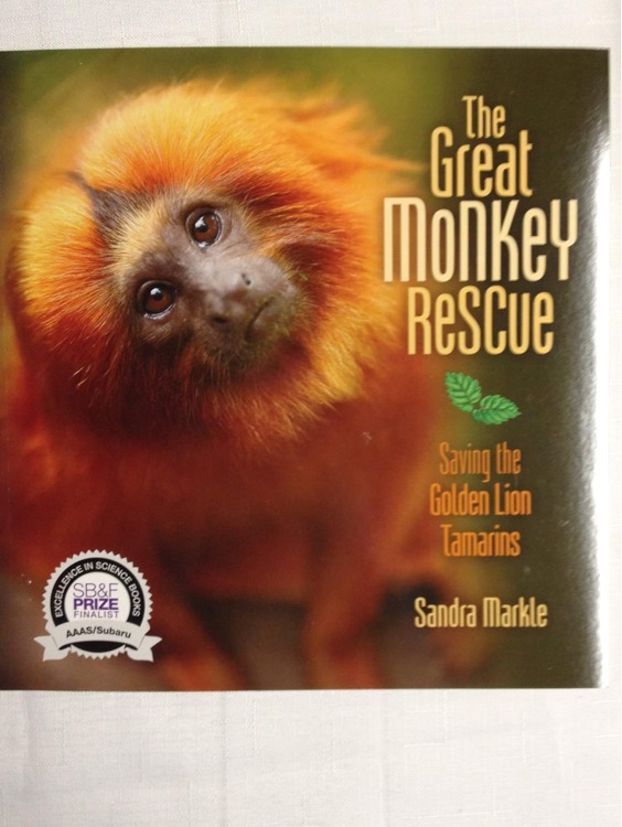 The Great Monkey Rescue - Saving the Golden Lion Mararins