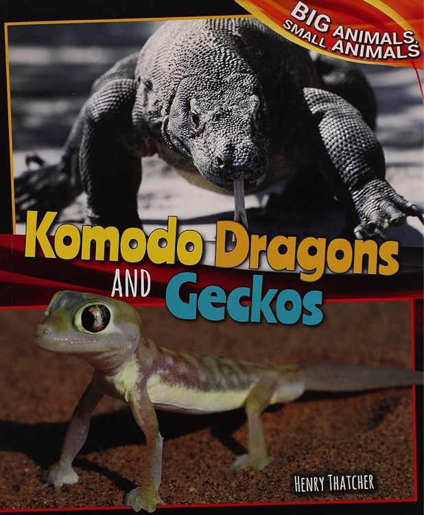 Komodo Dragons and Geckos