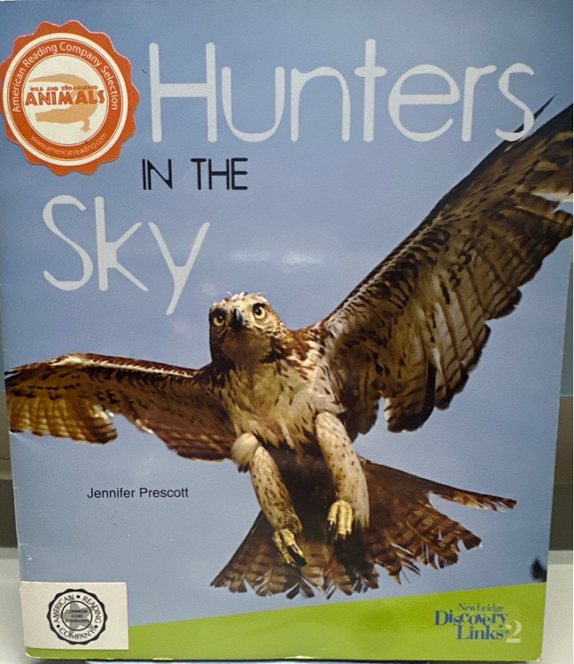 Hunters in the sky