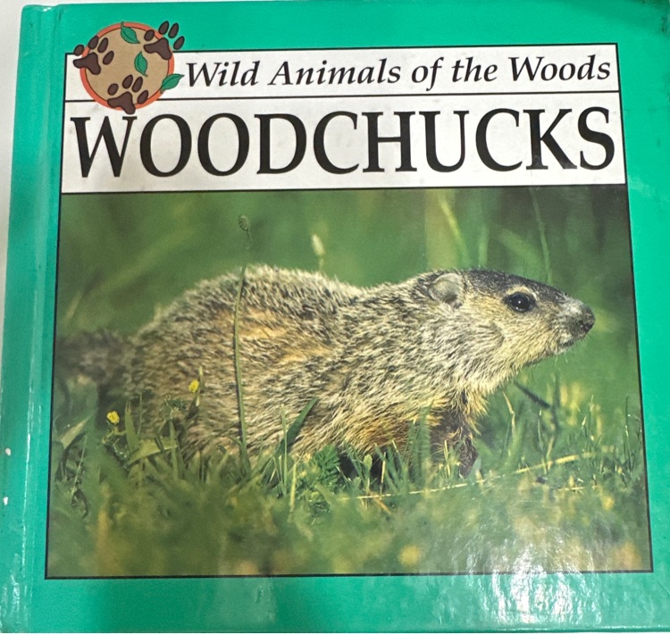 Woodchucks