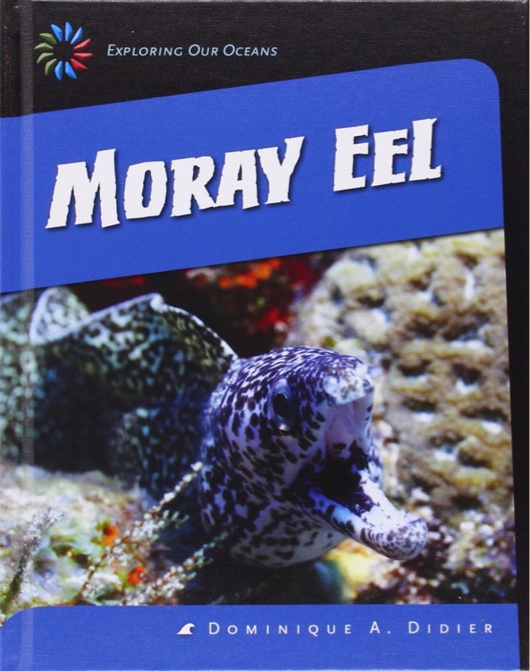 Moray Eel