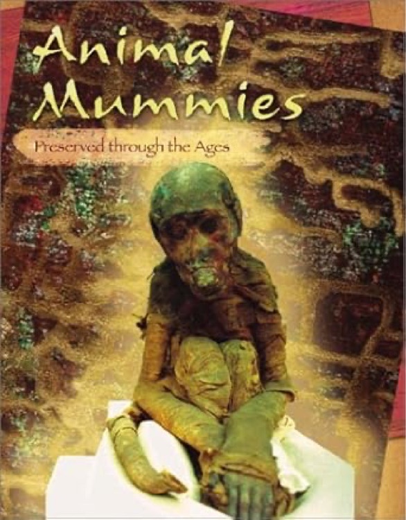 Animal Mimmies Preserved through the Age