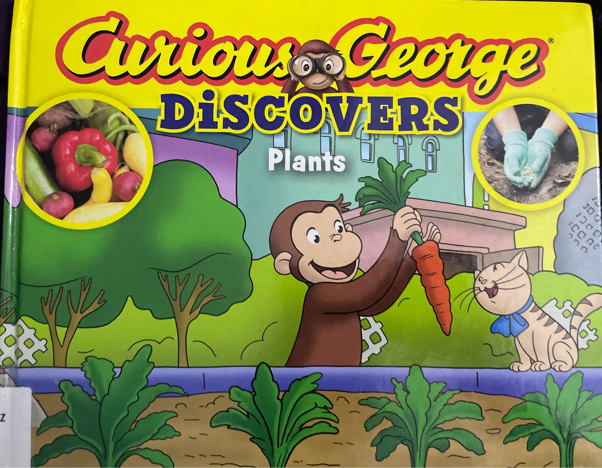 Curious George discovers plants