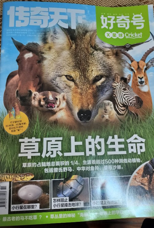 草原上的生命