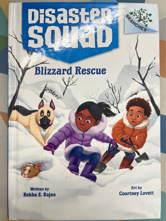 Disaster Squad: Blizzard Rescue