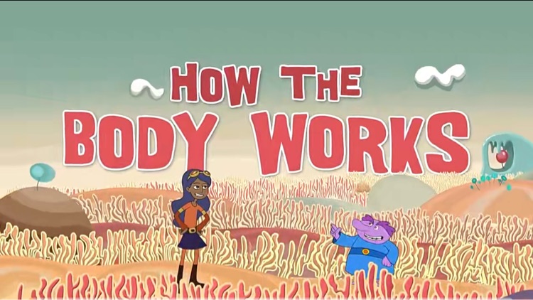 How your body works