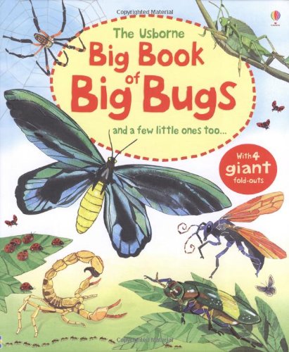 Big Book of Big Bugs