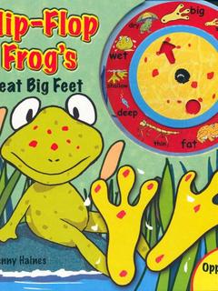 flip flop frog's great big feet