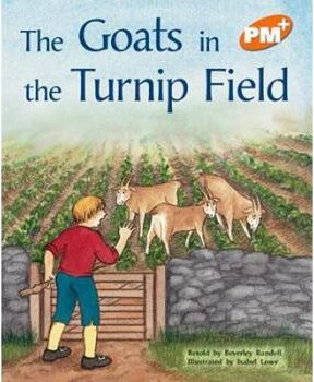 The Goats in the Turnip Field PM Plus Orange 15  Orange Level 15; Goat's in the Turnip Field