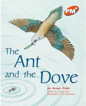 Ant and the Dove PM Plus Orange 15