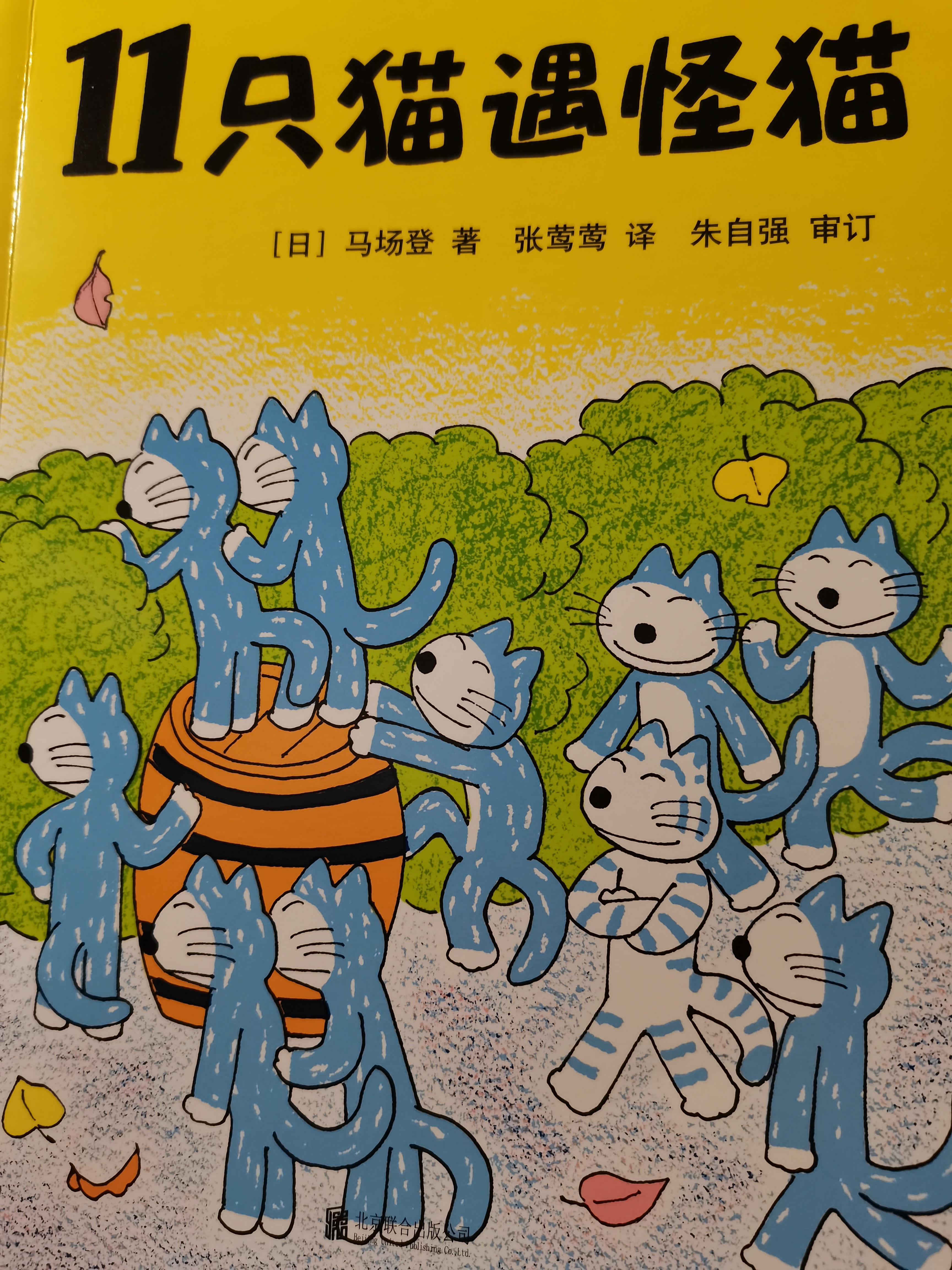 11只貓遇怪貓