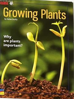 Growing  plants